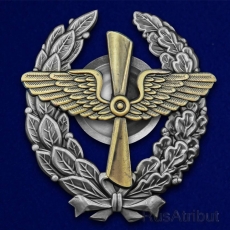 Знак Красного военного лётчика РККА  фото