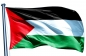 Флаг Палестины. Фотография №2