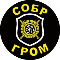 Наклейка СОБР Гром  фото