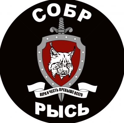 Наклейка СОБР "Рысь"