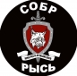 Наклейка СОБР "Рысь". Фотография №1
