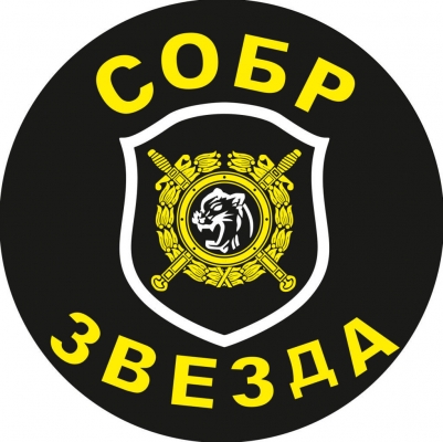 Наклейка СОБР "Звезда"