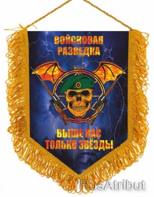 Вымпел Войсковая Разведка