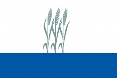 Флаг Камышина  фото
