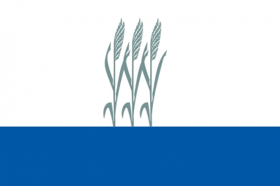 Флаг Камышина