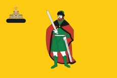 Флаг Рязани  фото