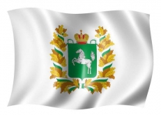 Флаг Томской области  фото