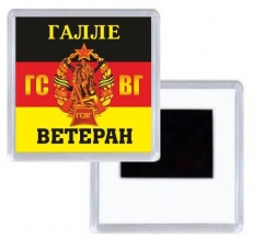 Магнит Ветерану ГСВГ Галле  фото