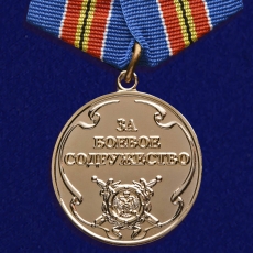Медаль «За боевое содружество» (МВД)  фото