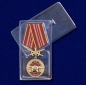 Медаль За службу в 21-м ОСН "Тайфун". Фотография №9