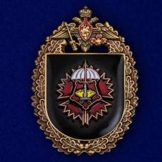Нагрудный знак 3-я отдельная бригада спецназа ГРУ  фото