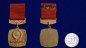 Знак 50 лет СССР (1922-1972). Фотография №5
