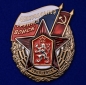 Нагрудный знак ЦГВ. Фотография №1