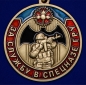 Памятная медаль "За службу в Спецназе ГРУ". Фотография №2
