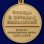 Памятная медаль «За содействие в организации акции Бессмертный полк. 75 лет Победы». Фотография №3