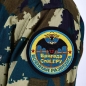 Шеврон ГРУ 12 бригада СпН. Фотография №5