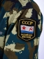 Шеврон ВМФ СССР "Каспийская флотилия". Фотография №4