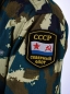 Шеврон ВМФ СССР "Северный флот". Фотография №4