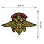 Нашивка в виде герба МВД России. Фотография №2