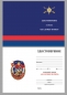 Нагрудный знак "За службу в РВСН". Фотография №5