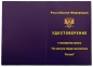 Крест "За заслуги перед казачеством" 2-й степени. Фотография №8