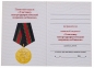 Медаль "Участнику контртеррористической операции на Кавказе". Фотография №8