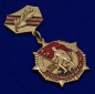 Знак "25 лет победы в Великой Отечественной войне". Фотография №2