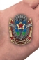 Знак десанта (с парашютом). Фотография №6