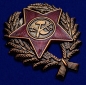 Знак Красного командира (1918-1922 гг.). Фотография №2