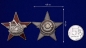 Знак "Лучшему ударнику-рационализатору" . Фотография №4