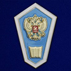 Знак Об окончании педагогического ССУЗа РФ  фото