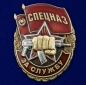 Знак "За службу в Спецназе". Фотография №1