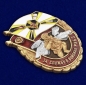 Знак За службу в войсках РХБ защиты. Фотография №2